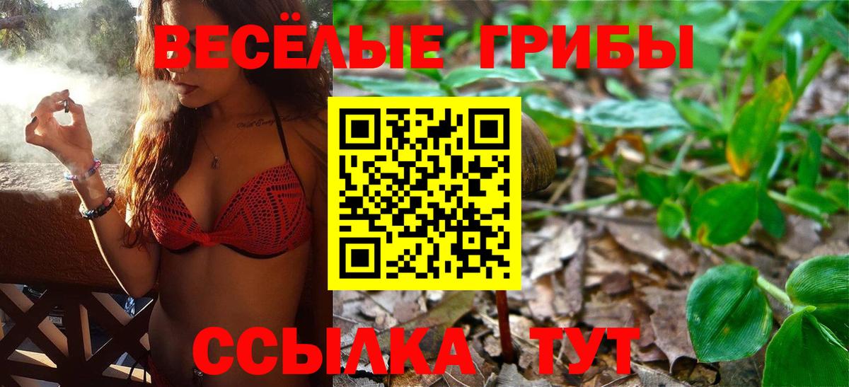 Псилоцибиновые грибы MAGIC MUSHROOMS  Вход с VPN  Щёлково 